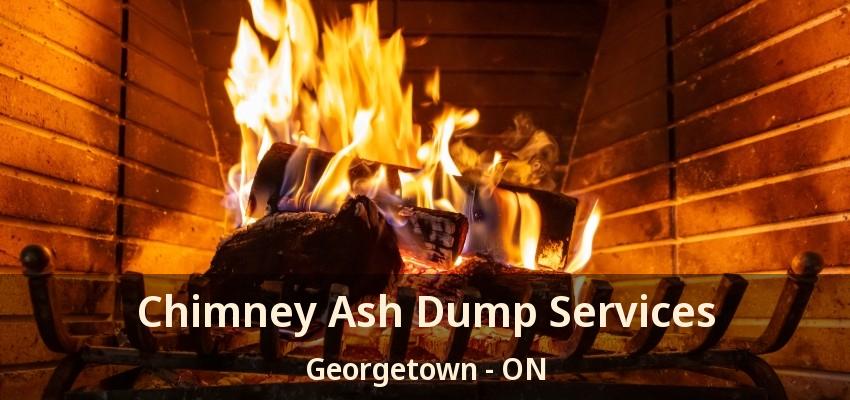 Chimney Ash Dump Services Georgetown - ON