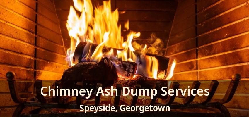 Chimney Ash Dump Services Speyside, Georgetown - ON