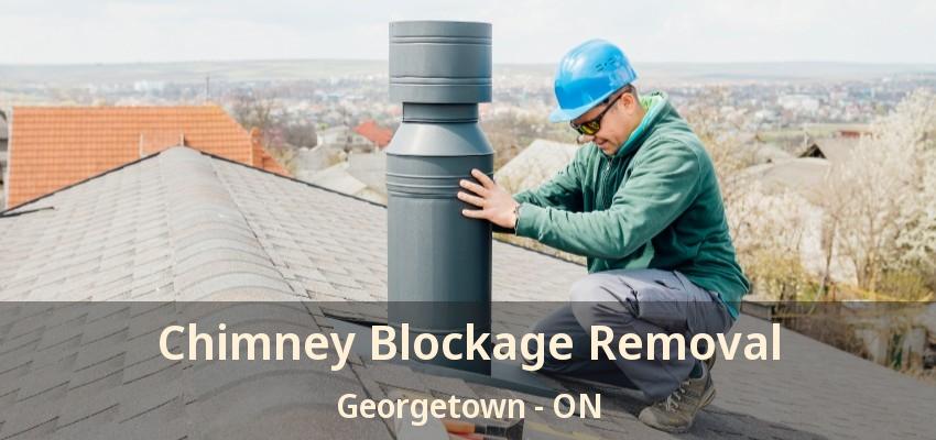 Chimney Blockage Removal Georgetown - ON