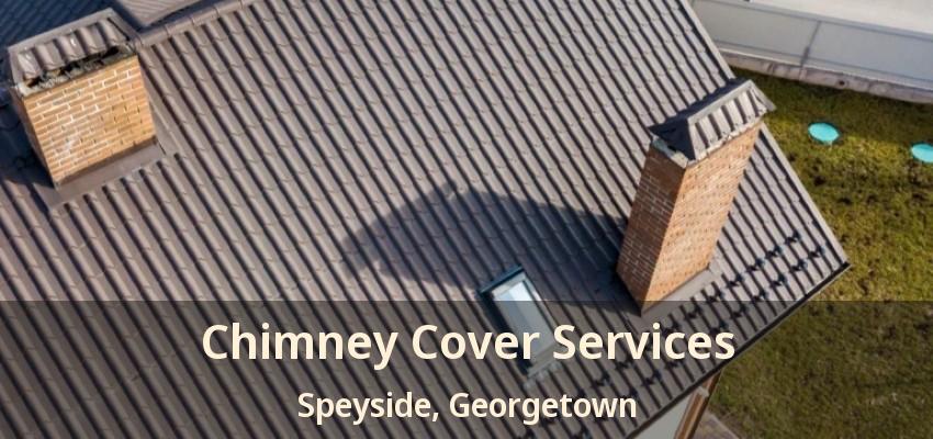 Chimney Cover Services Speyside, Georgetown - ON