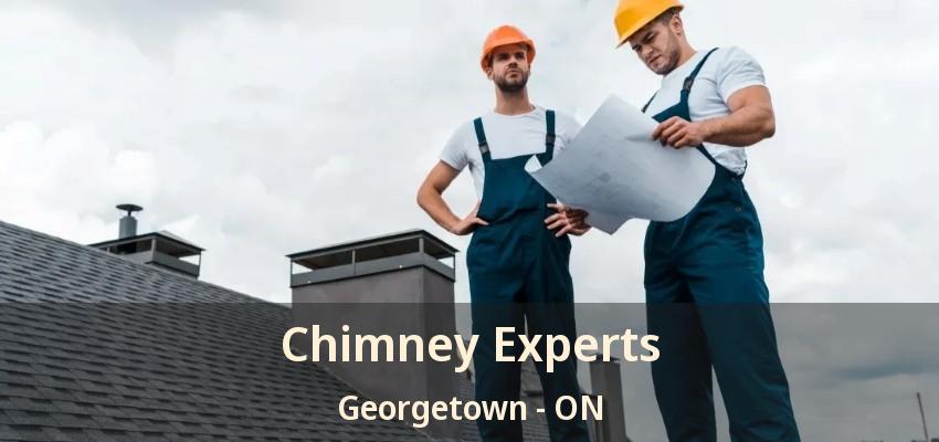 Chimney Experts Georgetown - ON