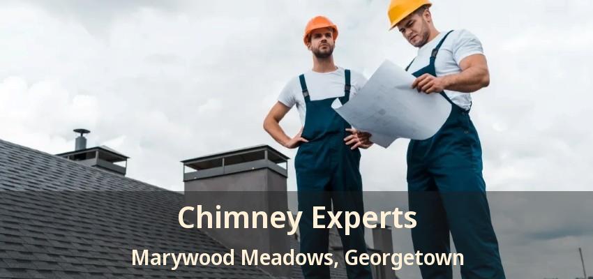 Chimney Experts Marywood Meadows, Georgetown - ON