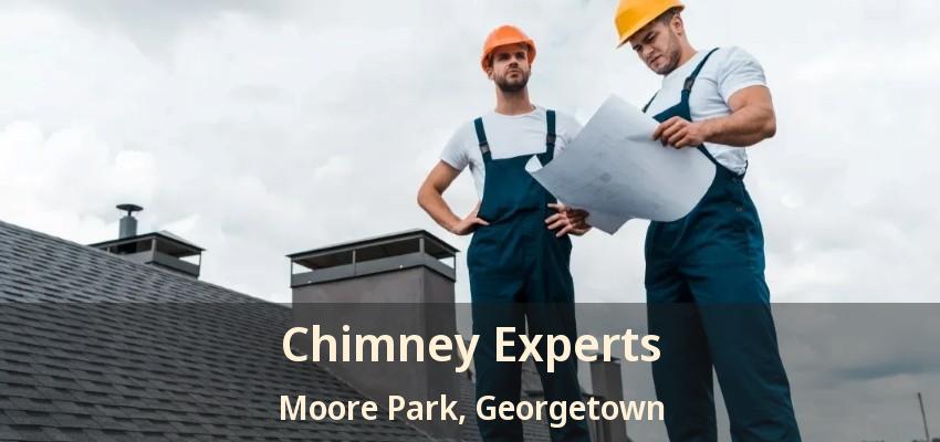 Chimney Experts Moore Park, Georgetown - ON