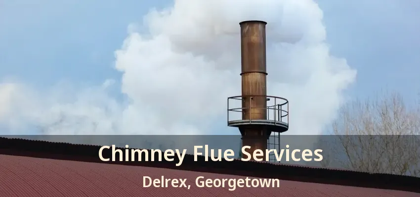 Chimney Flue Services Delrex, Georgetown - ON