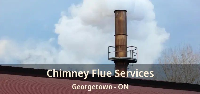 Chimney Flue Services Georgetown - ON