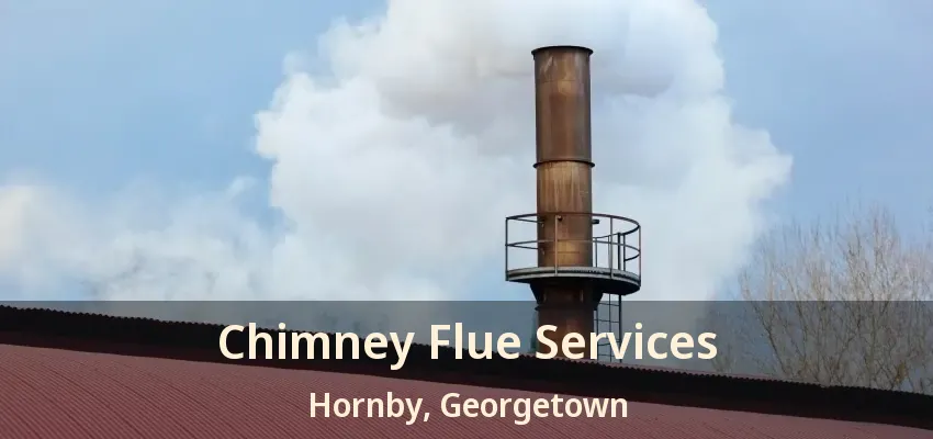 Chimney Flue Services Hornby, Georgetown - ON