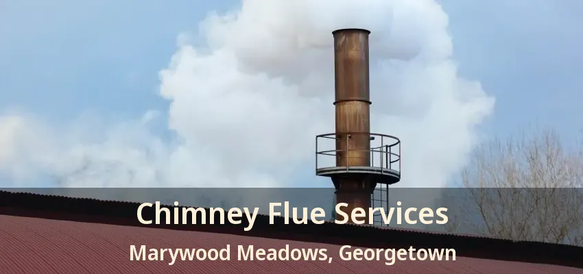 Chimney Flue Services Marywood Meadows, Georgetown - ON