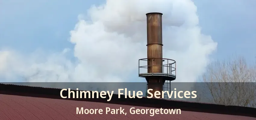 Chimney Flue Services Moore Park, Georgetown - ON