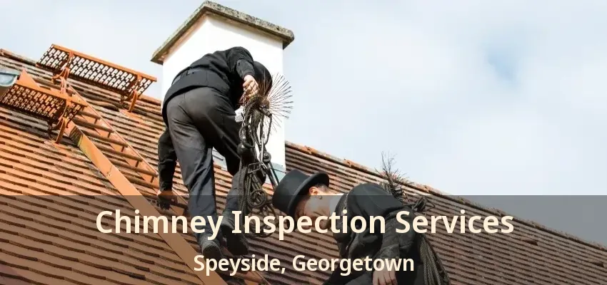 Chimney Inspection Services Speyside, Georgetown - ON