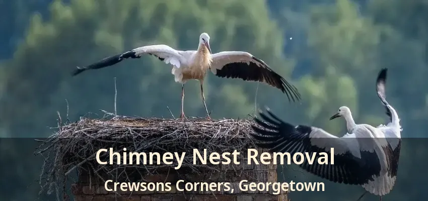 Chimney Nest Removal Crewsons Corners, Georgetown - ON