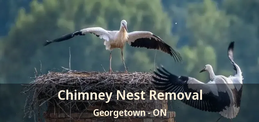 Chimney Nest Removal Georgetown - ON