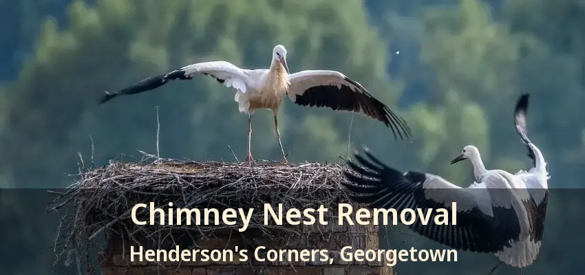 Chimney Nest Removal Henderson's Corners, Georgetown - ON