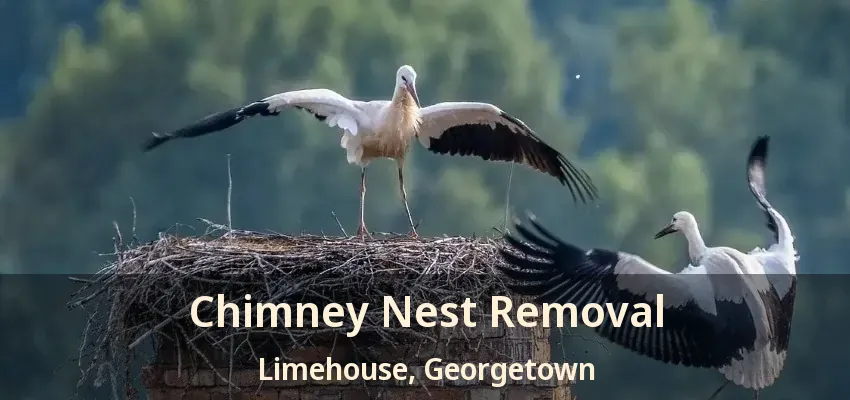 Chimney Nest Removal Limehouse, Georgetown - ON