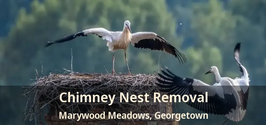 Chimney Nest Removal Marywood Meadows, Georgetown - ON