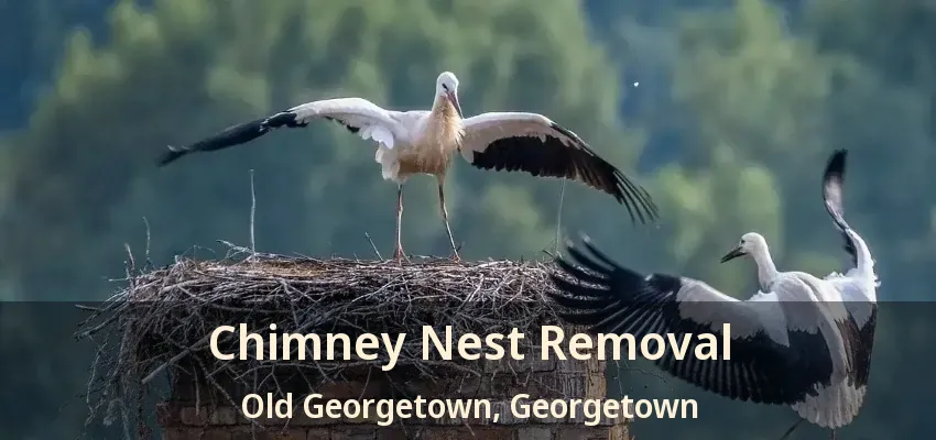 Chimney Nest Removal Old Georgetown, Georgetown - ON