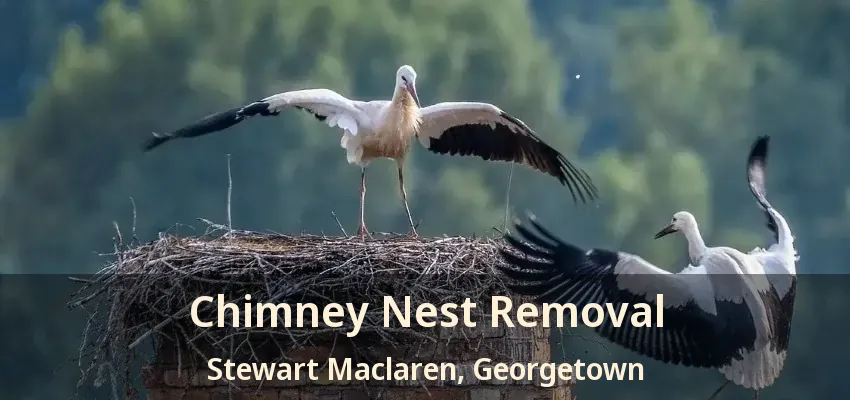 Chimney Nest Removal Stewart Maclaren, Georgetown - ON