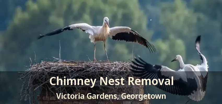 Chimney Nest Removal Victoria Gardens, Georgetown - ON