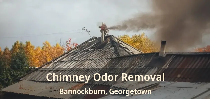Chimney Odor Removal Bannockburn, Georgetown - ON