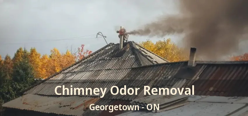 Chimney Odor Removal Georgetown - ON