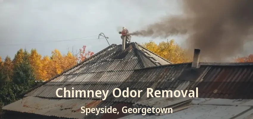 Chimney Odor Removal Speyside, Georgetown - ON
