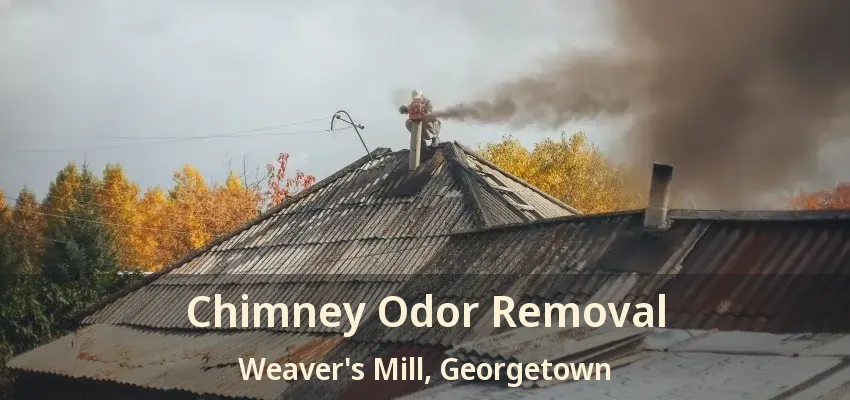 Chimney Odor Removal Weaver's Mill, Georgetown - ON