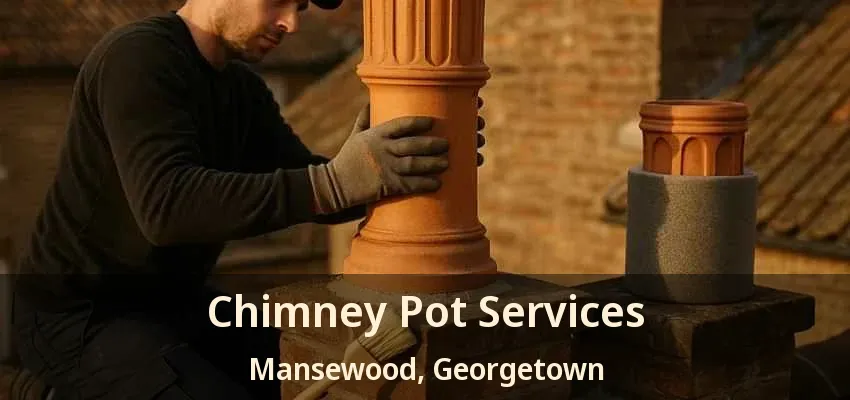 Chimney Pot Services Mansewood, Georgetown - ON