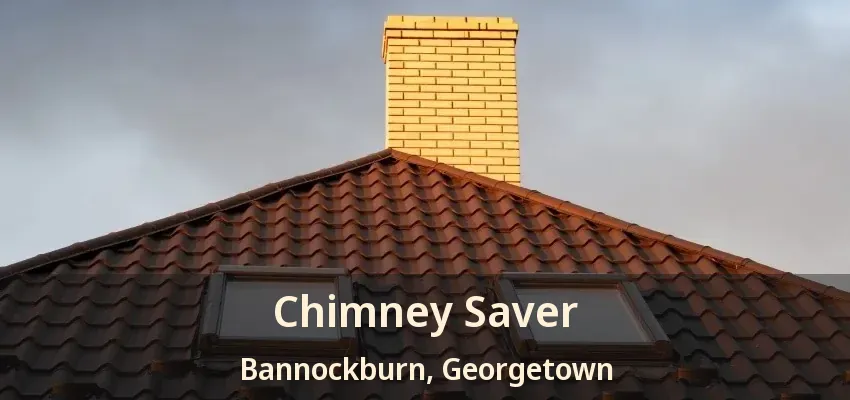 Chimney Saver Bannockburn, Georgetown - ON