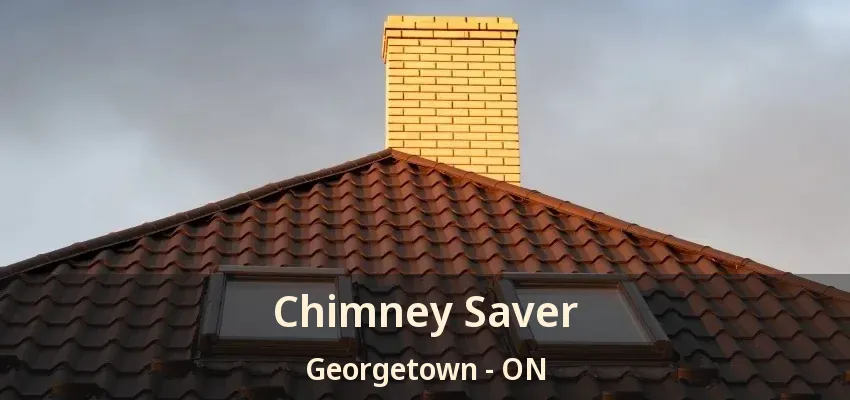 Chimney Saver Georgetown - ON