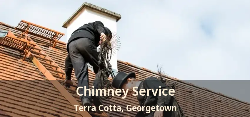 Chimney Service Terra Cotta, Georgetown - ON
