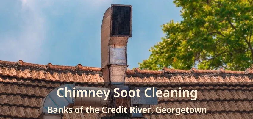 Chimney Soot Cleaning Banks of the Credit River, Georgetown - ON