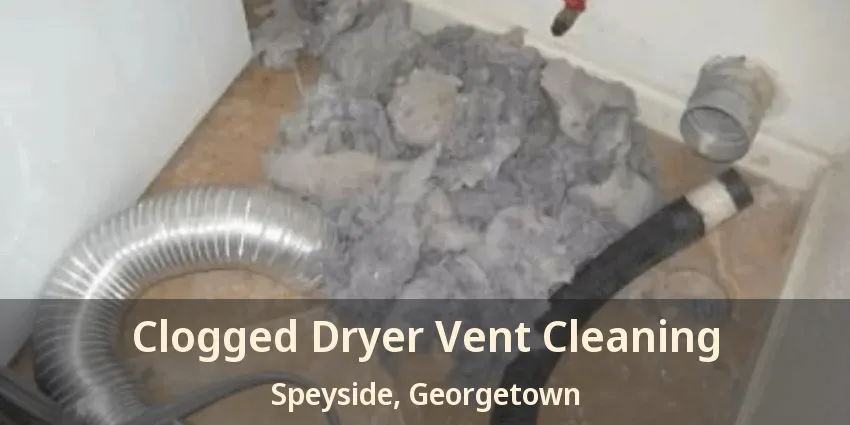 Clogged Dryer Vent Cleaning Speyside, Georgetown - ON