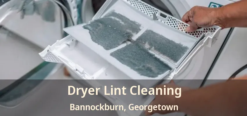 Dryer Lint Cleaning Bannockburn, Georgetown - ON