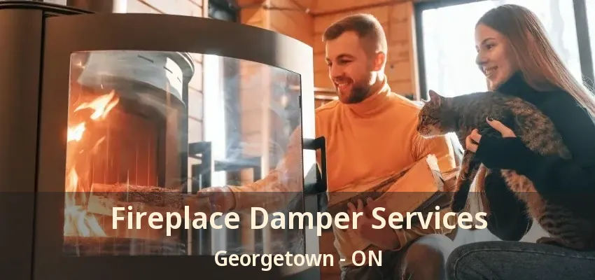Fireplace Damper Services Georgetown - ON