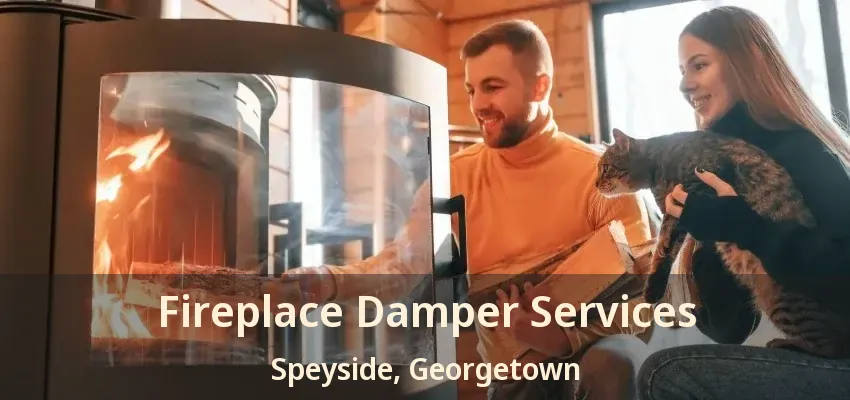 Fireplace Damper Services Speyside, Georgetown - ON