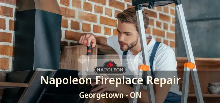 Napoleon Fireplace Repair Georgetown - ON