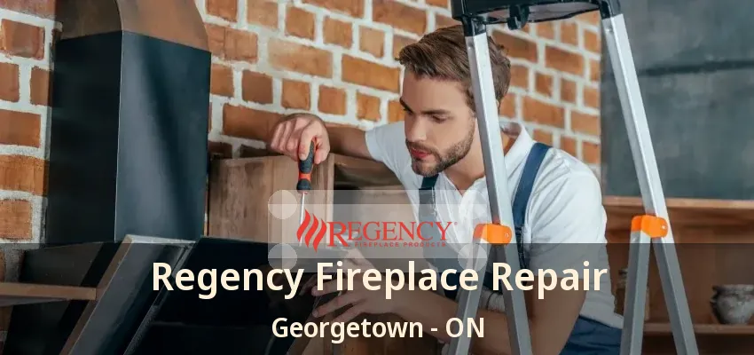 Regency Fireplace Repair Georgetown - ON