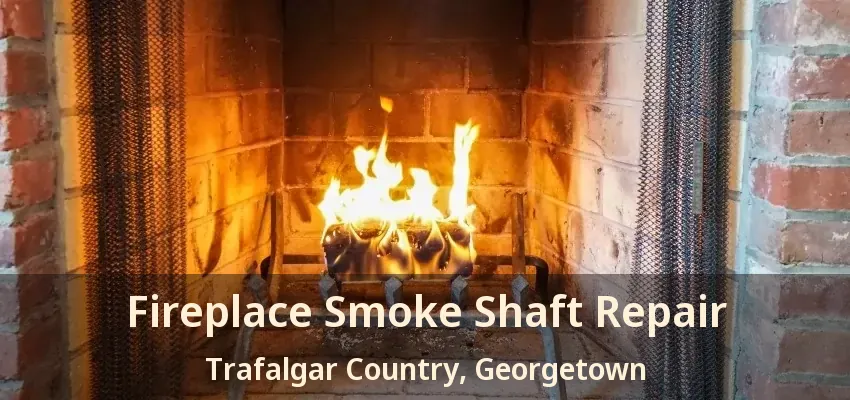 Fireplace Smoke Shaft Repair Trafalgar Country, Georgetown - ON