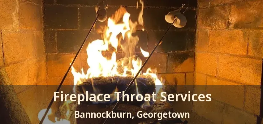 Fireplace Throat Services Bannockburn, Georgetown - ON