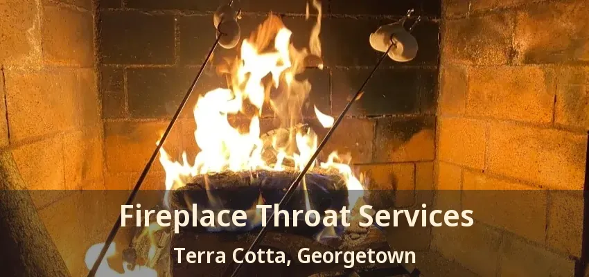 Fireplace Throat Services Terra Cotta, Georgetown - ON