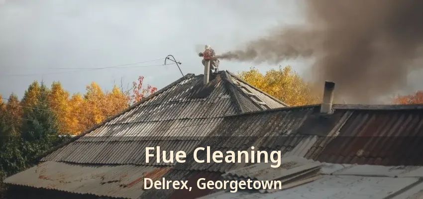 Flue Cleaning Delrex, Georgetown - ON