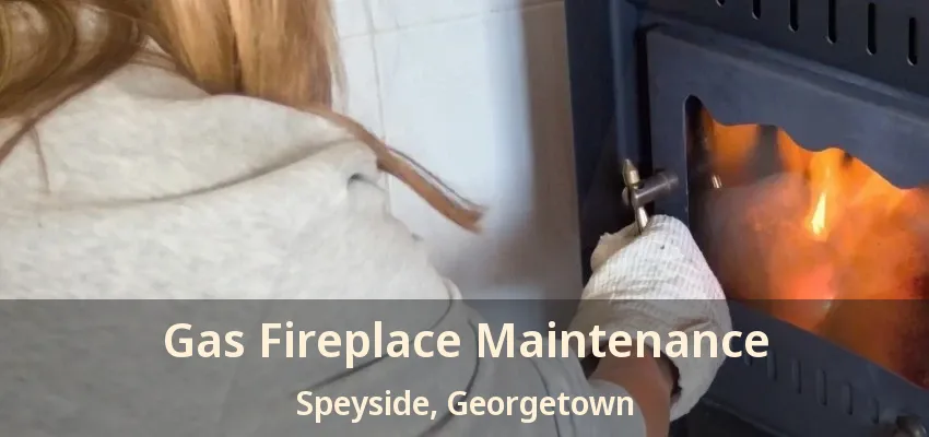 Gas Fireplace Maintenance Speyside, Georgetown - ON