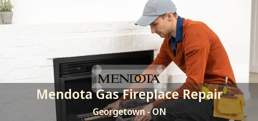 Mendota Gas Fireplace Repair Georgetown - ON
