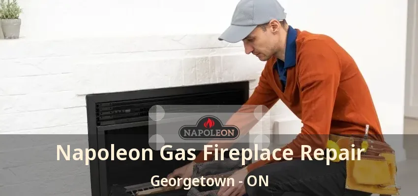 Napoleon Gas Fireplace Repair Georgetown - ON