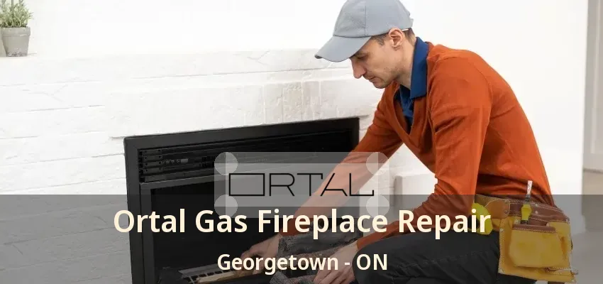 Ortal Gas Fireplace Repair Georgetown - ON