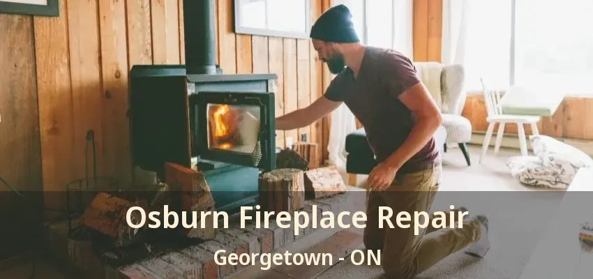 Osburn Fireplace Repair Georgetown - ON