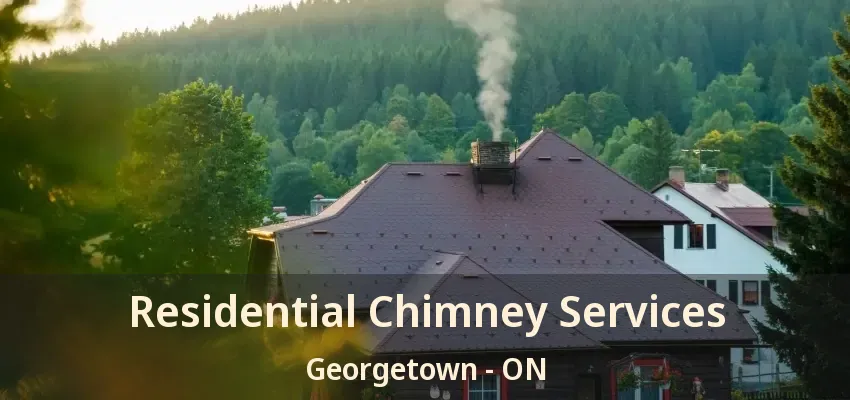 Residential Chimney Services Georgetown - ON