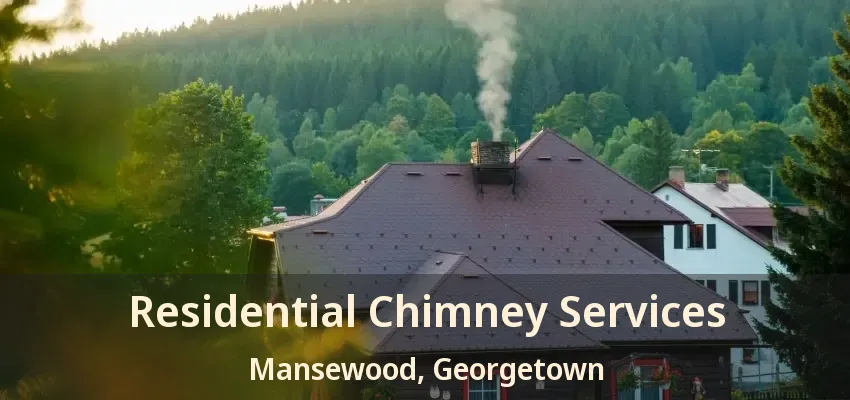 Residential Chimney Services Mansewood, Georgetown - ON