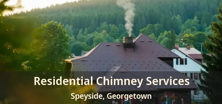 Residential Chimney Services Speyside, Georgetown - ON