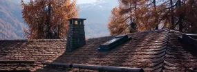 Chimney Animal Removal Meadowglen, Georgetown