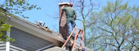 Chimney Service Bannockburn, Georgetown